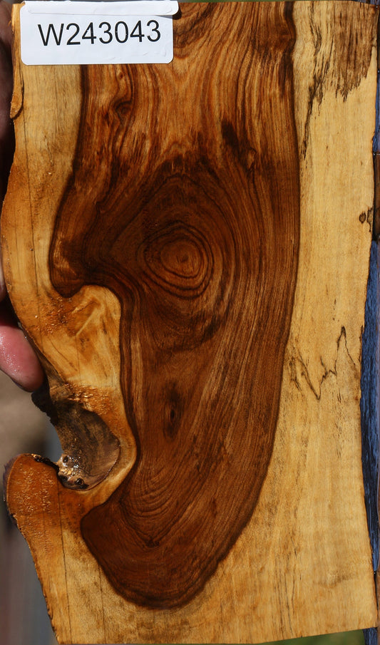 Tamboti Live Edge Lumber