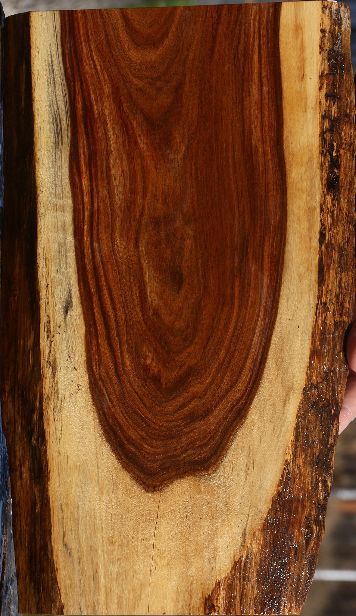 Tamboti Live Edge Lumber