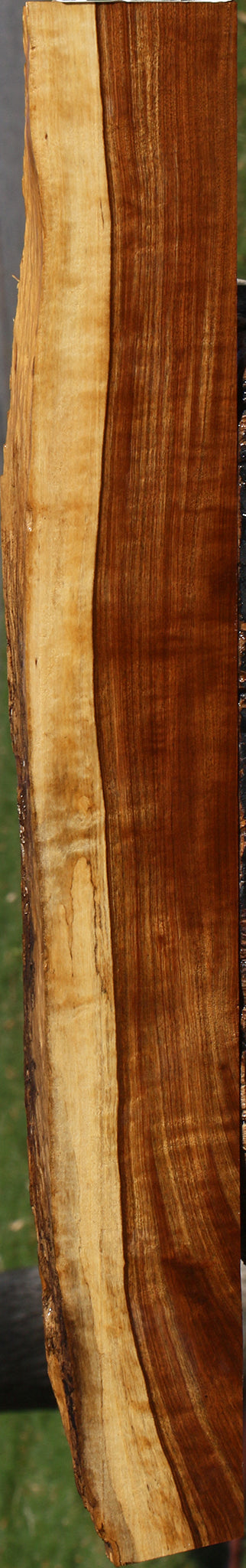 Extra Fancy Tamboti Live Edge Lumber