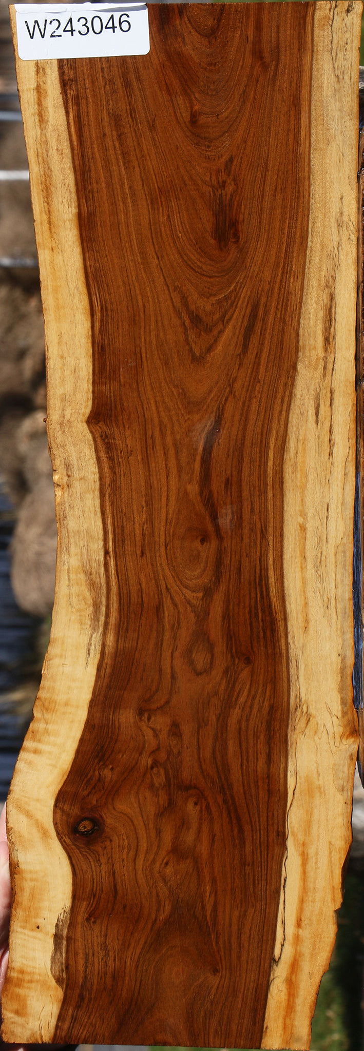 Figured Tamboti Live Edge Lumber