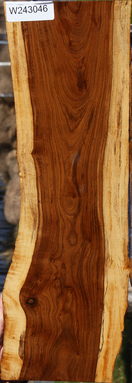 Figured Tamboti Live Edge Lumber