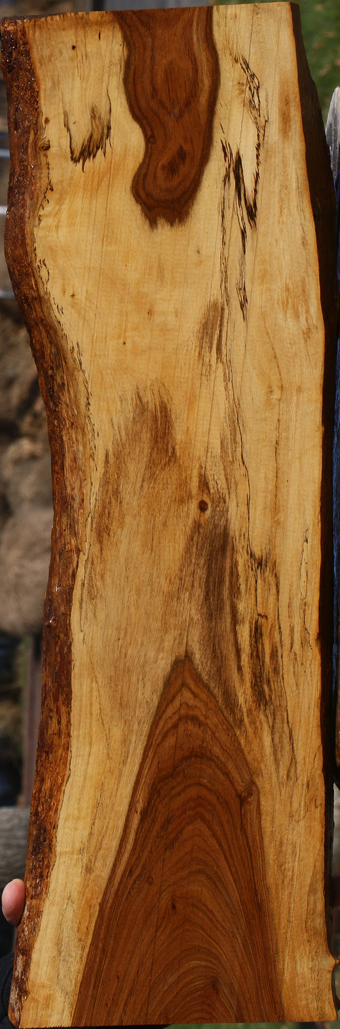 Figured Tamboti Live Edge Lumber