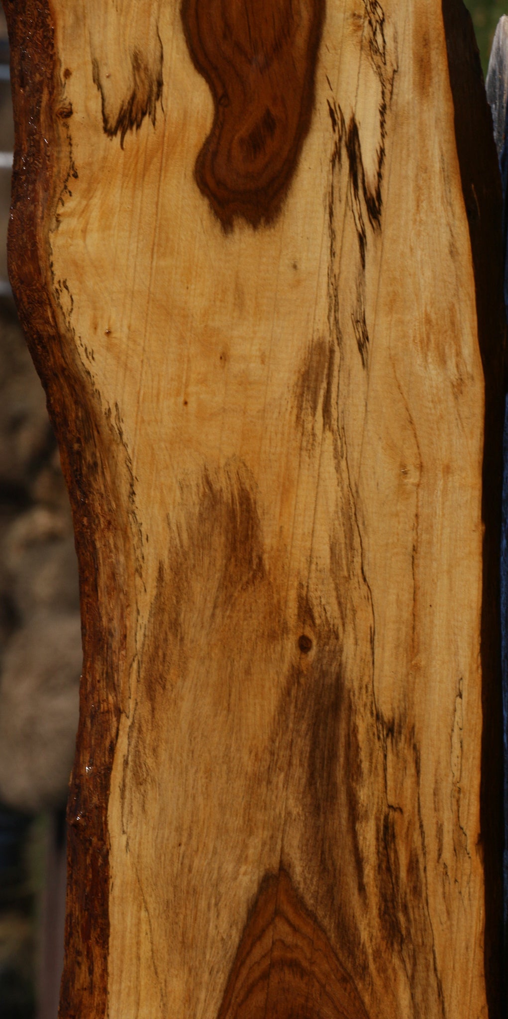 Figured Tamboti Live Edge Lumber