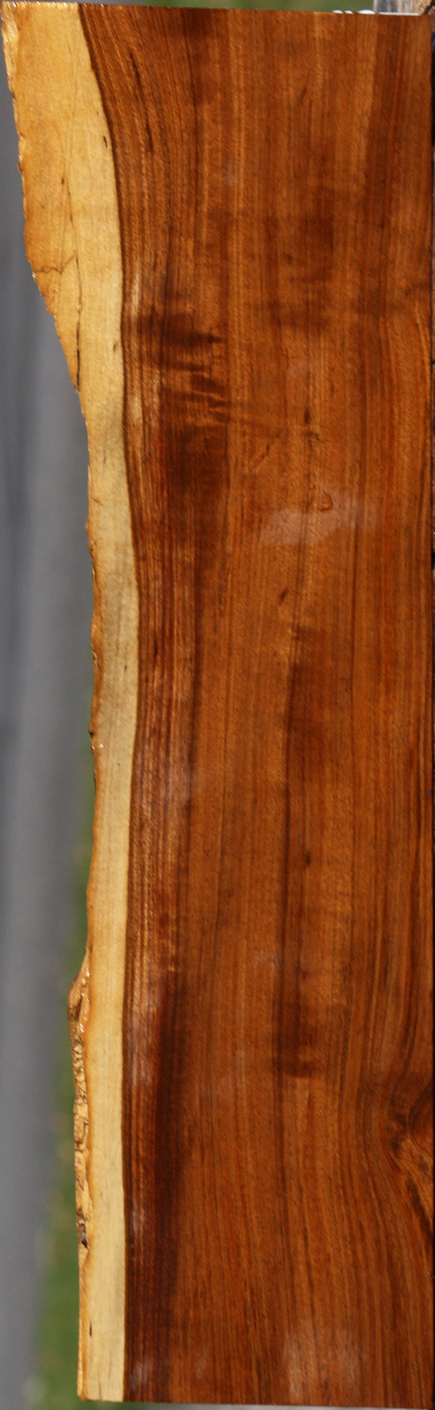 Tamboti Live Edge Lumber