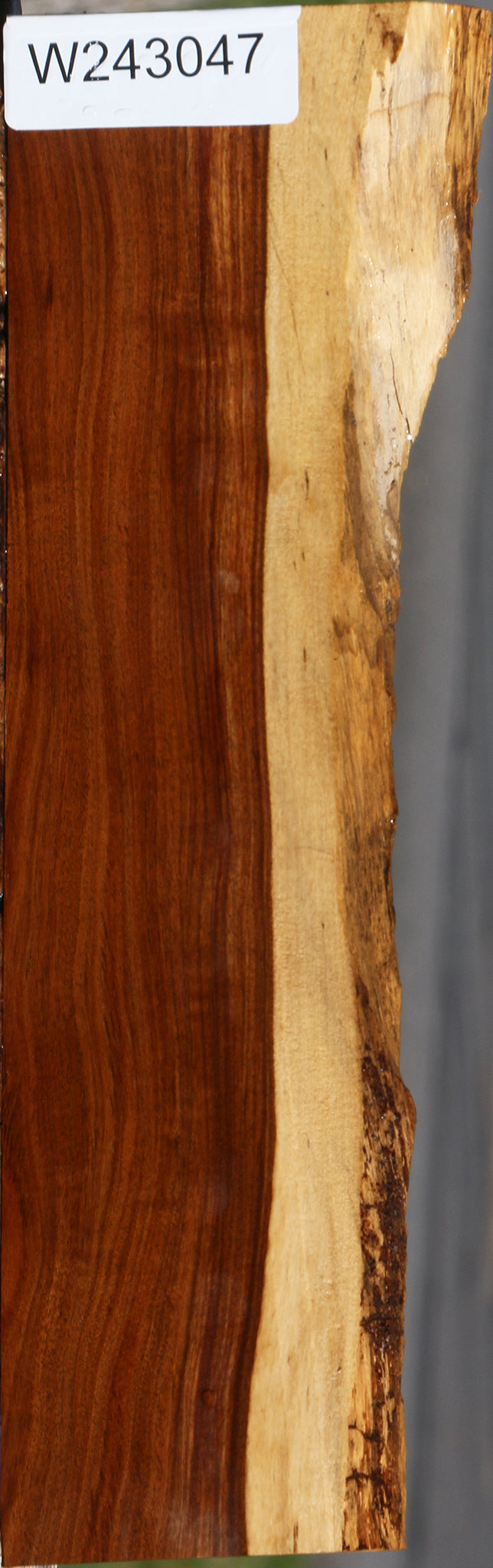 Tamboti Live Edge Lumber