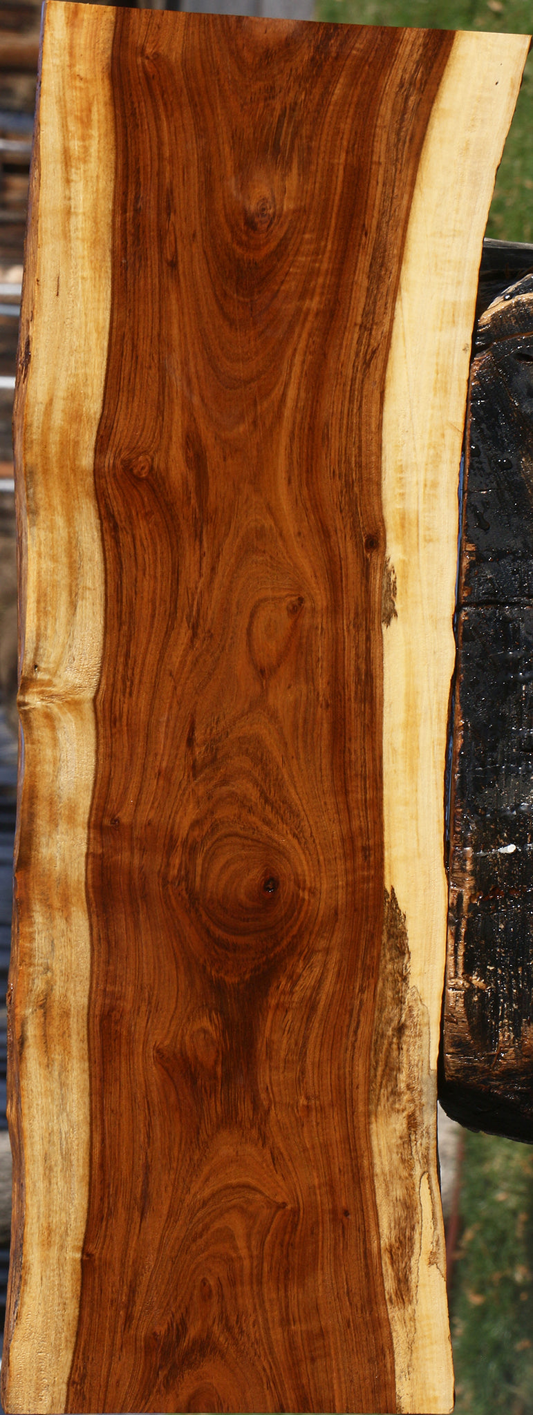 Figured Tamboti Live Edge Lumber