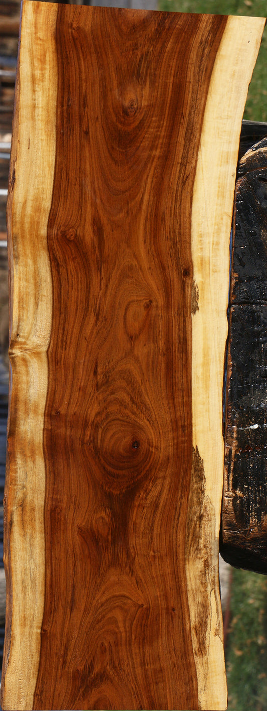 Figured Tamboti Live Edge Lumber