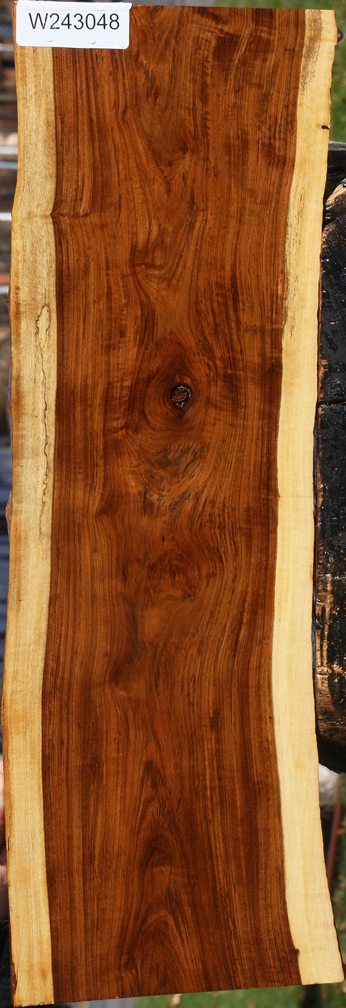 Figured Tamboti Live Edge Lumber