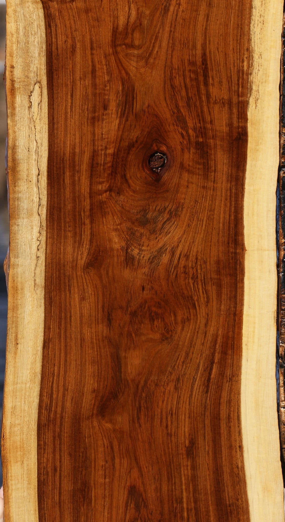 Figured Tamboti Live Edge Lumber