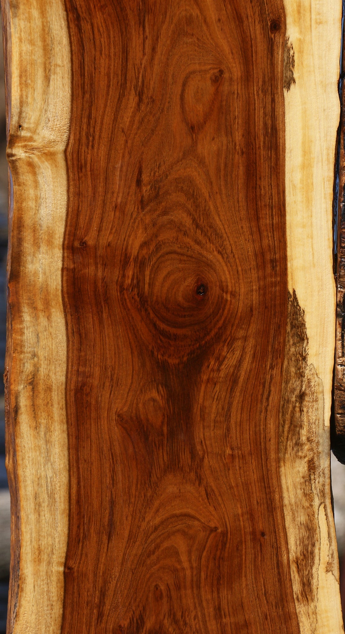 Figured Tamboti Live Edge Lumber