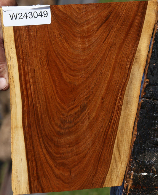 Tamboti Live Edge Lumber