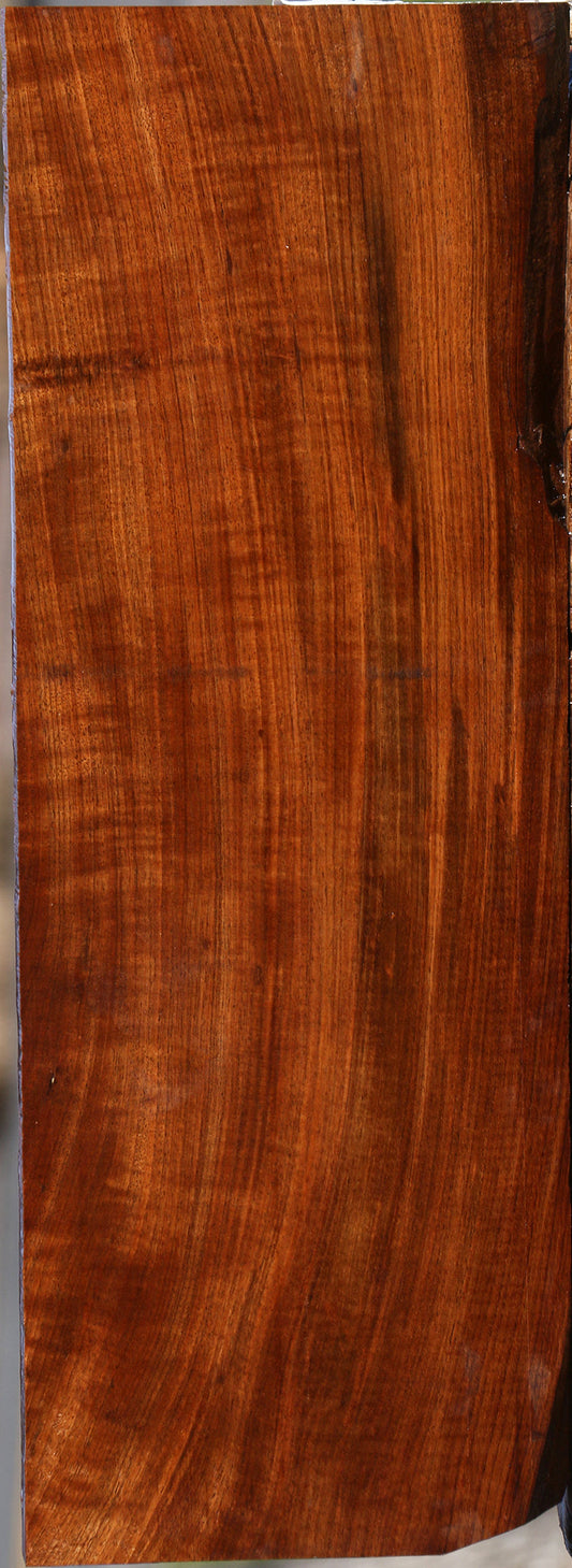 Extra Fancy Tamboti Lumber