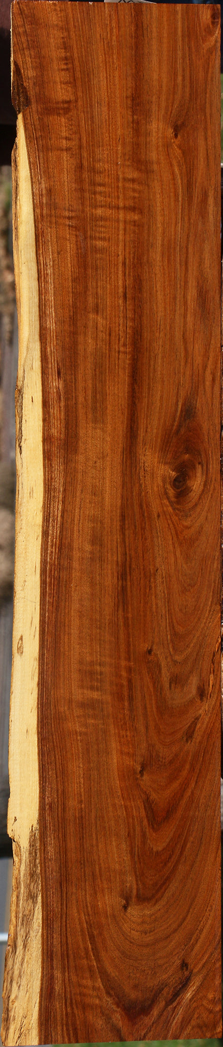 Figured Tamboti Live Edge Lumber