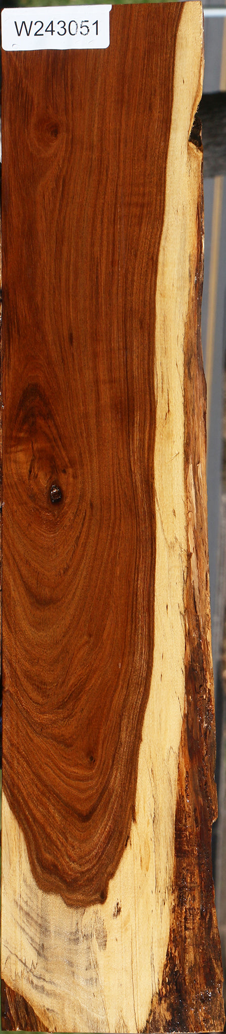 Figured Tamboti Live Edge Lumber