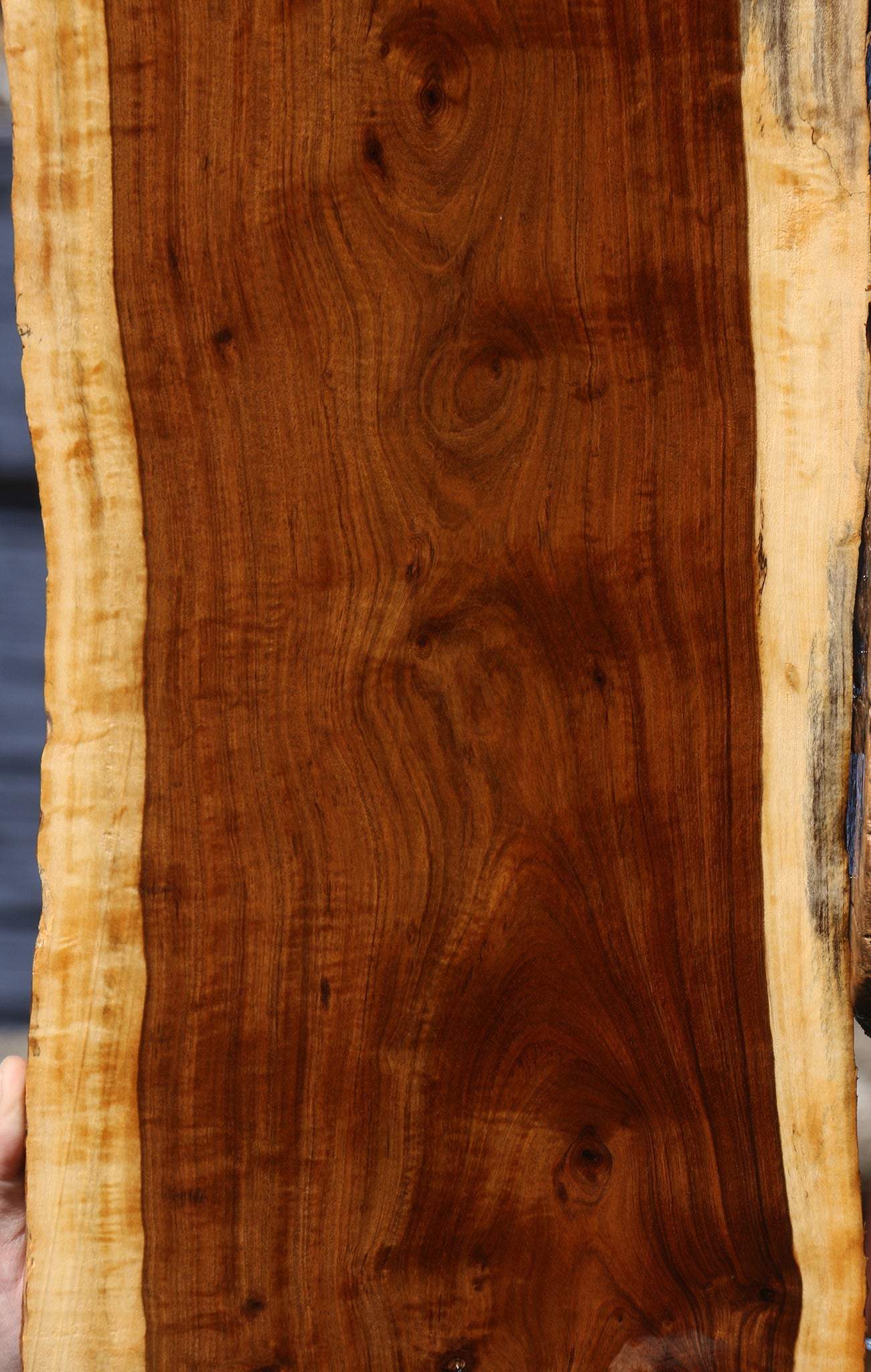 Figured Tamboti Live Edge Lumber