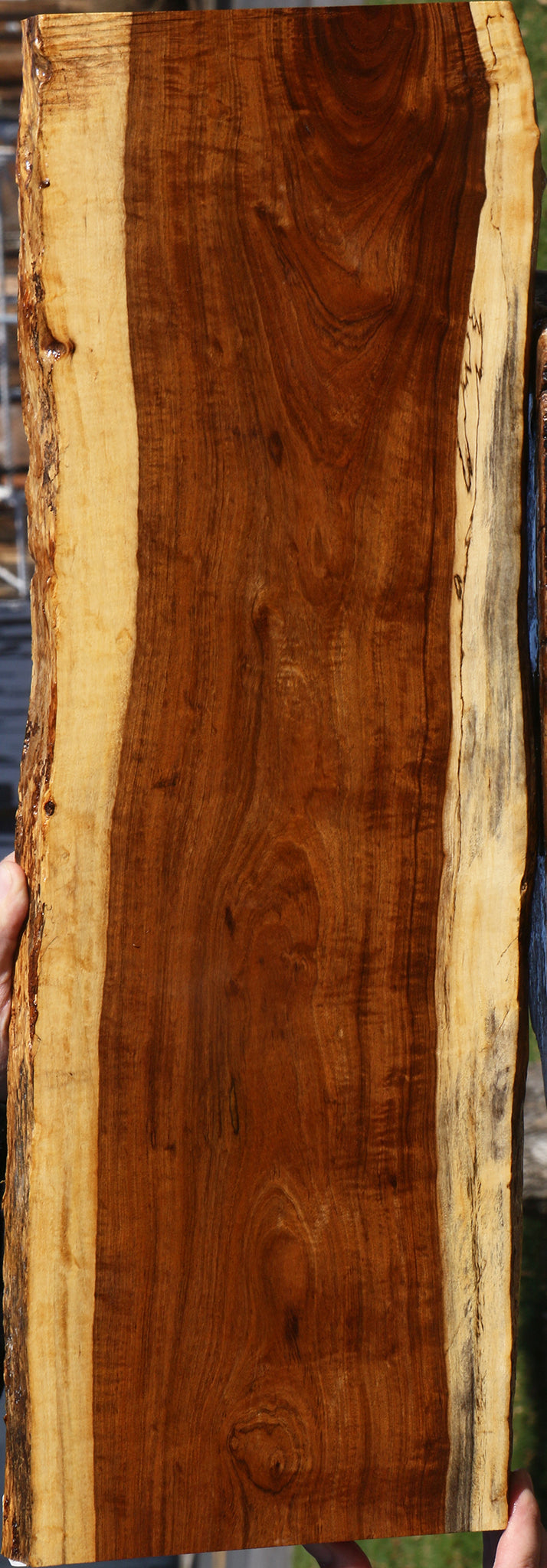 Figured Tamboti Live Edge Lumber