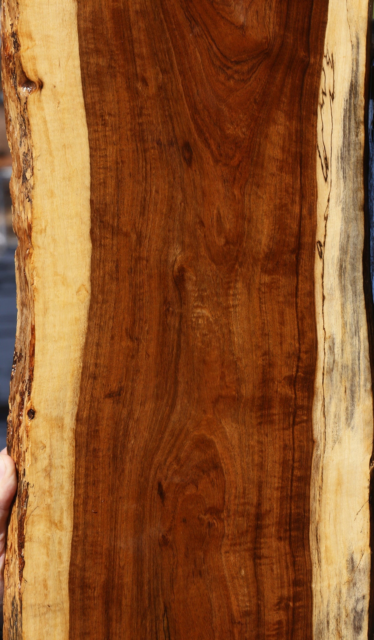 Figured Tamboti Live Edge Lumber