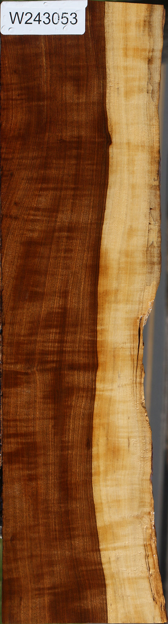 Extra Fancy Tamboti Live Edge Lumber