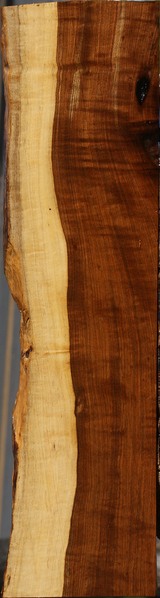 Extra Fancy Tamboti Live Edge Lumber
