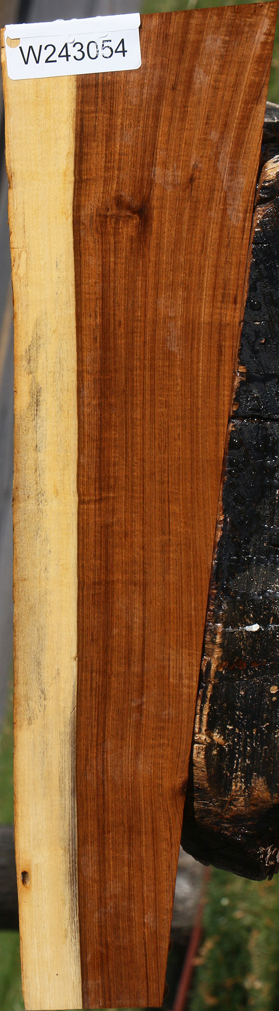Figured Tamboti Live Edge Lumber