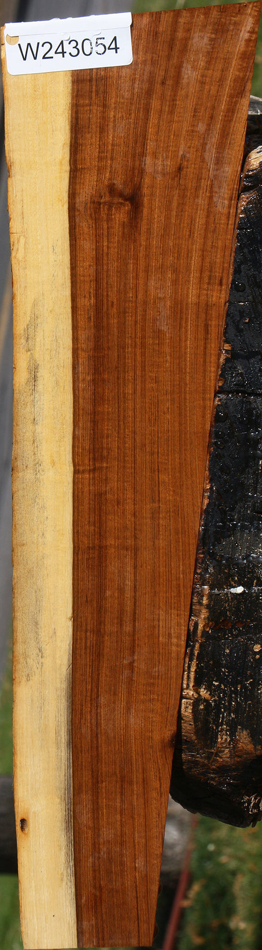 Figured Tamboti Live Edge Lumber
