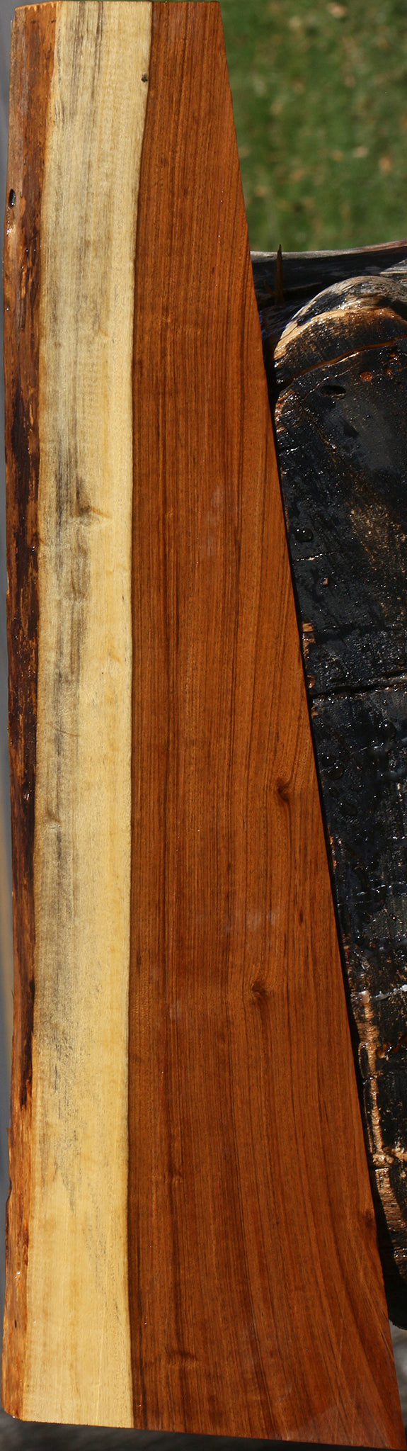 Figured Tamboti Live Edge Lumber