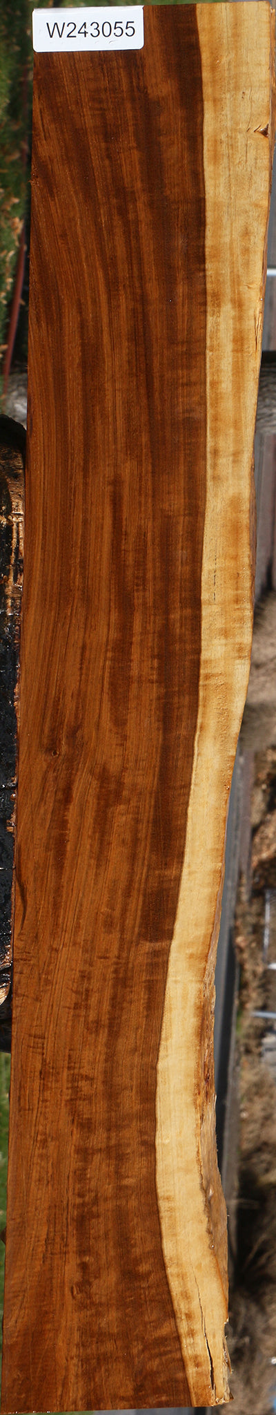 Extra Fancy Tamboti Live Edge Lumber