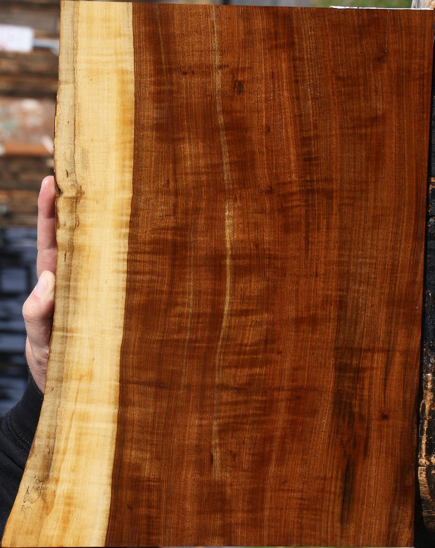 Extra Fancy Tamboti Live Edge Lumber