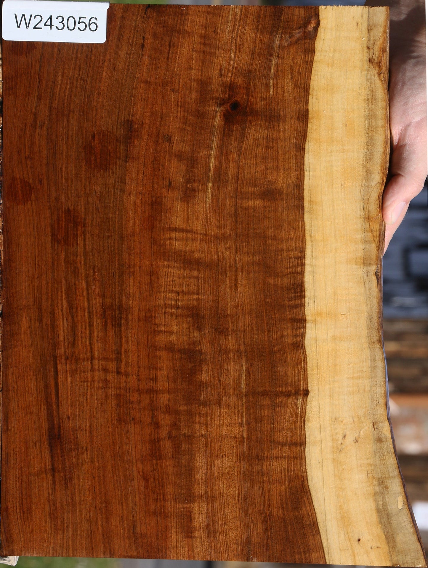 Extra Fancy Tamboti Live Edge Lumber