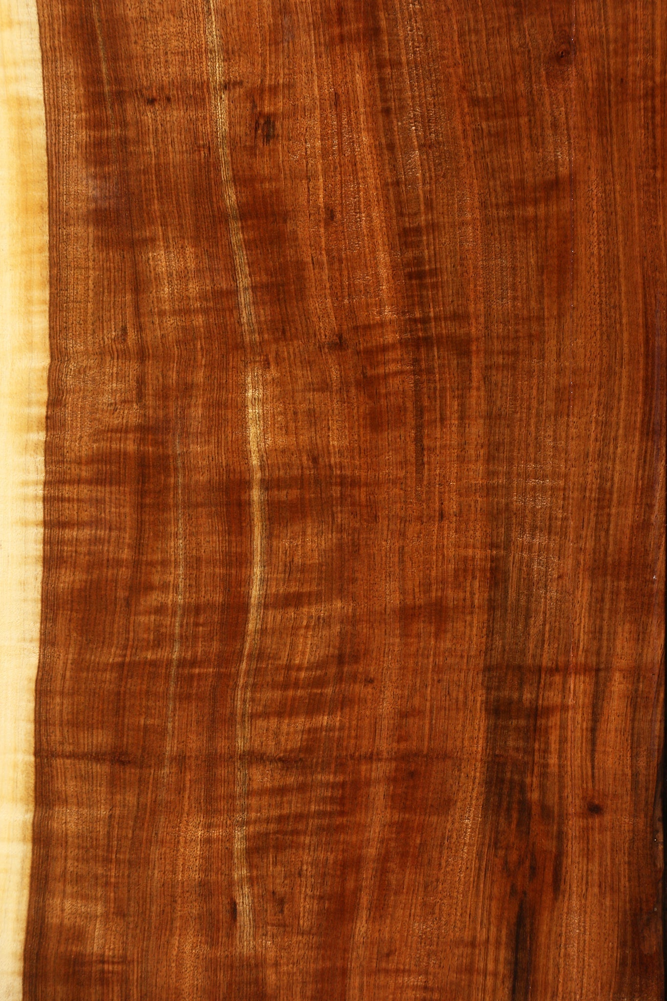 Extra Fancy Tamboti Live Edge Lumber