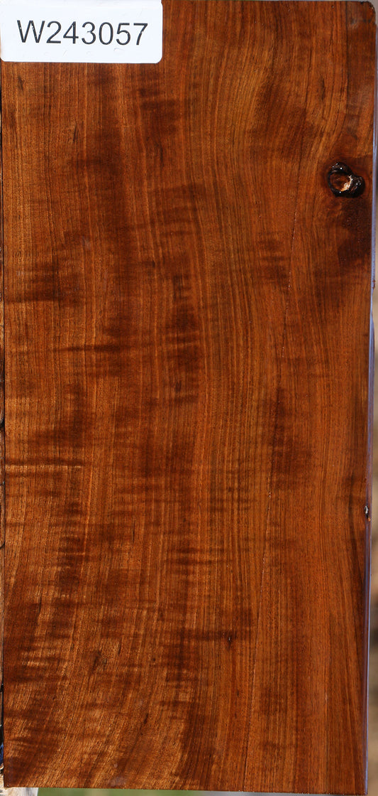 Extra Fancy Tamboti Lumber