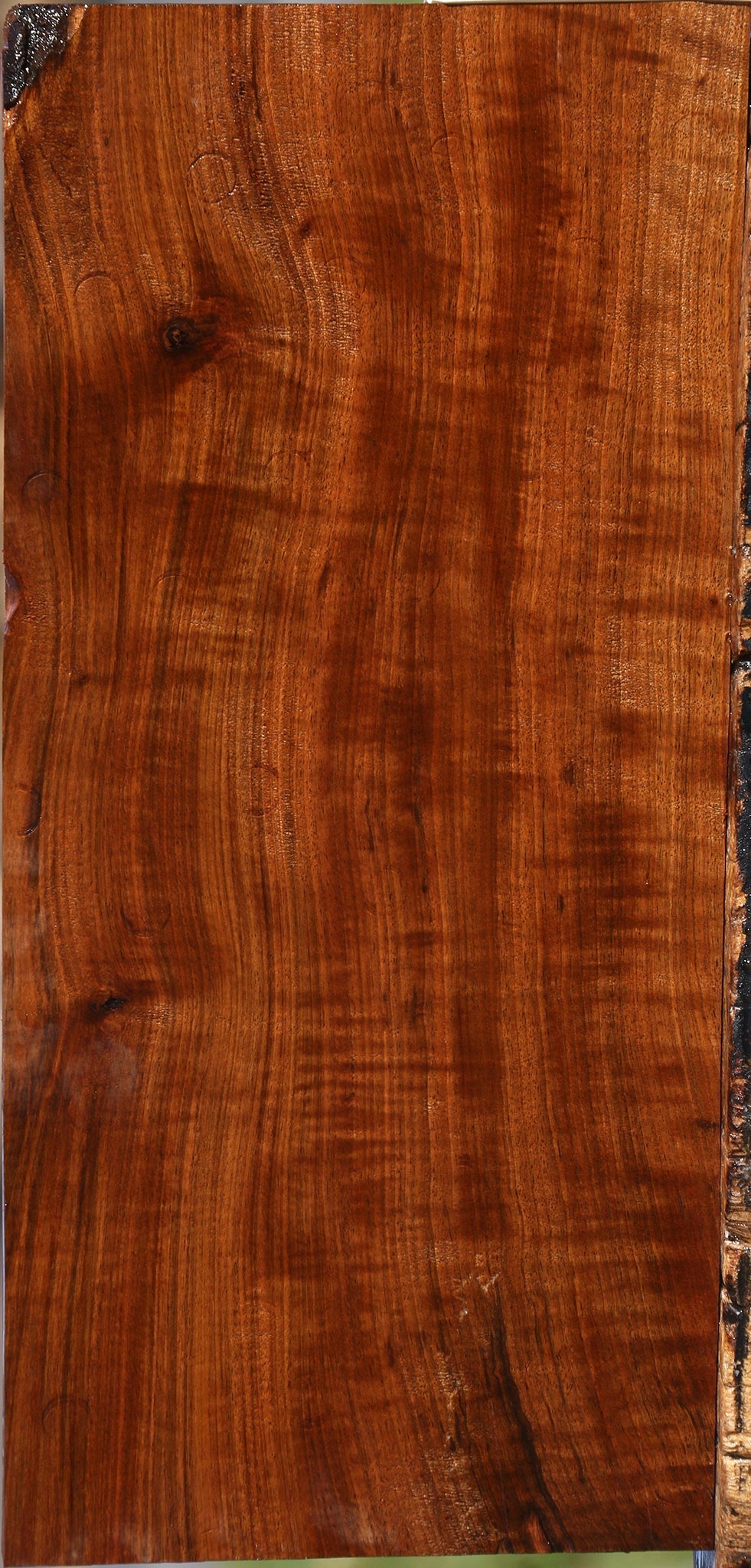 Extra Fancy Tamboti Lumber