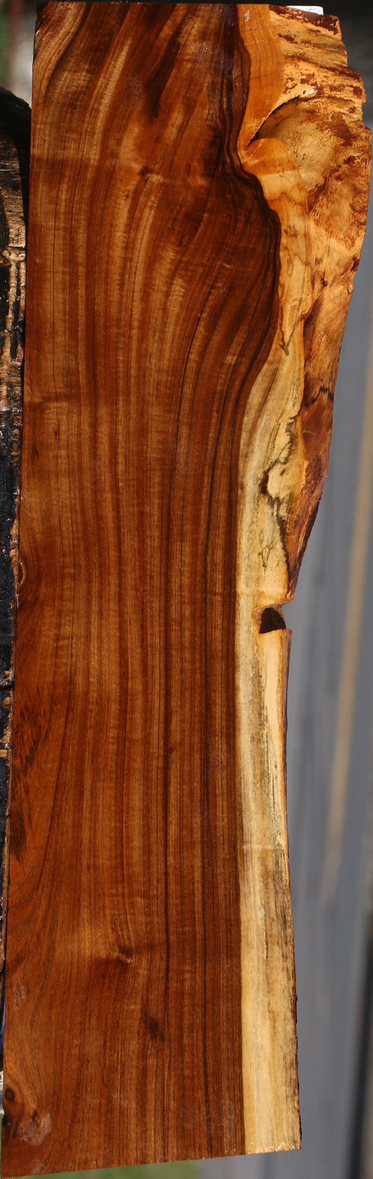 Figured Tamboti Live Edge Lumber