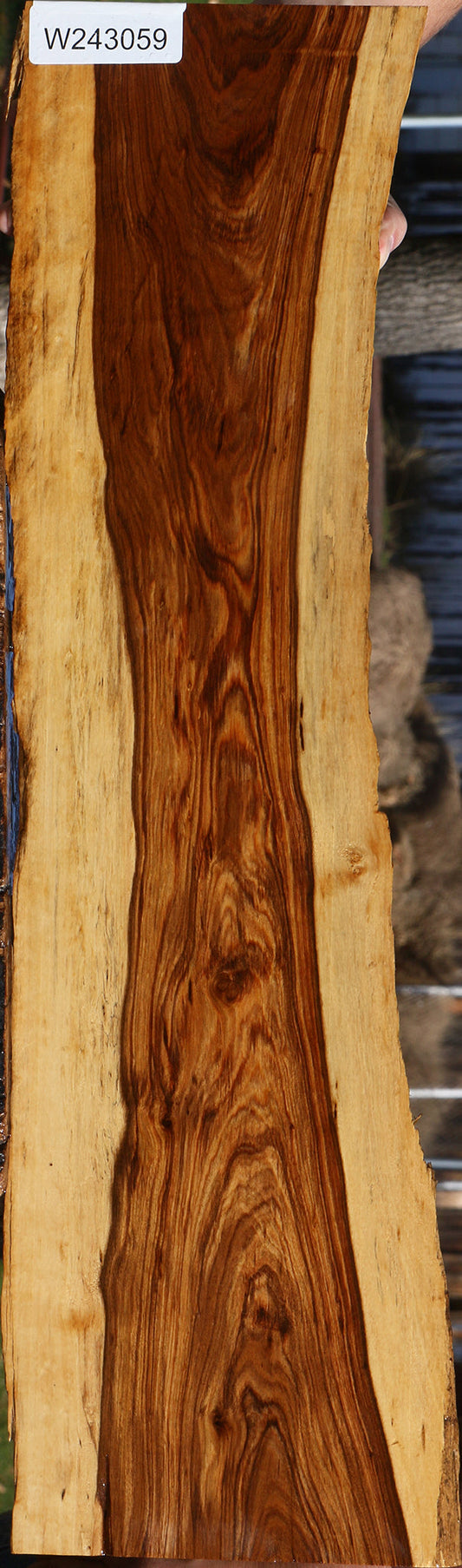 Figured Tamboti Live Edge Lumber