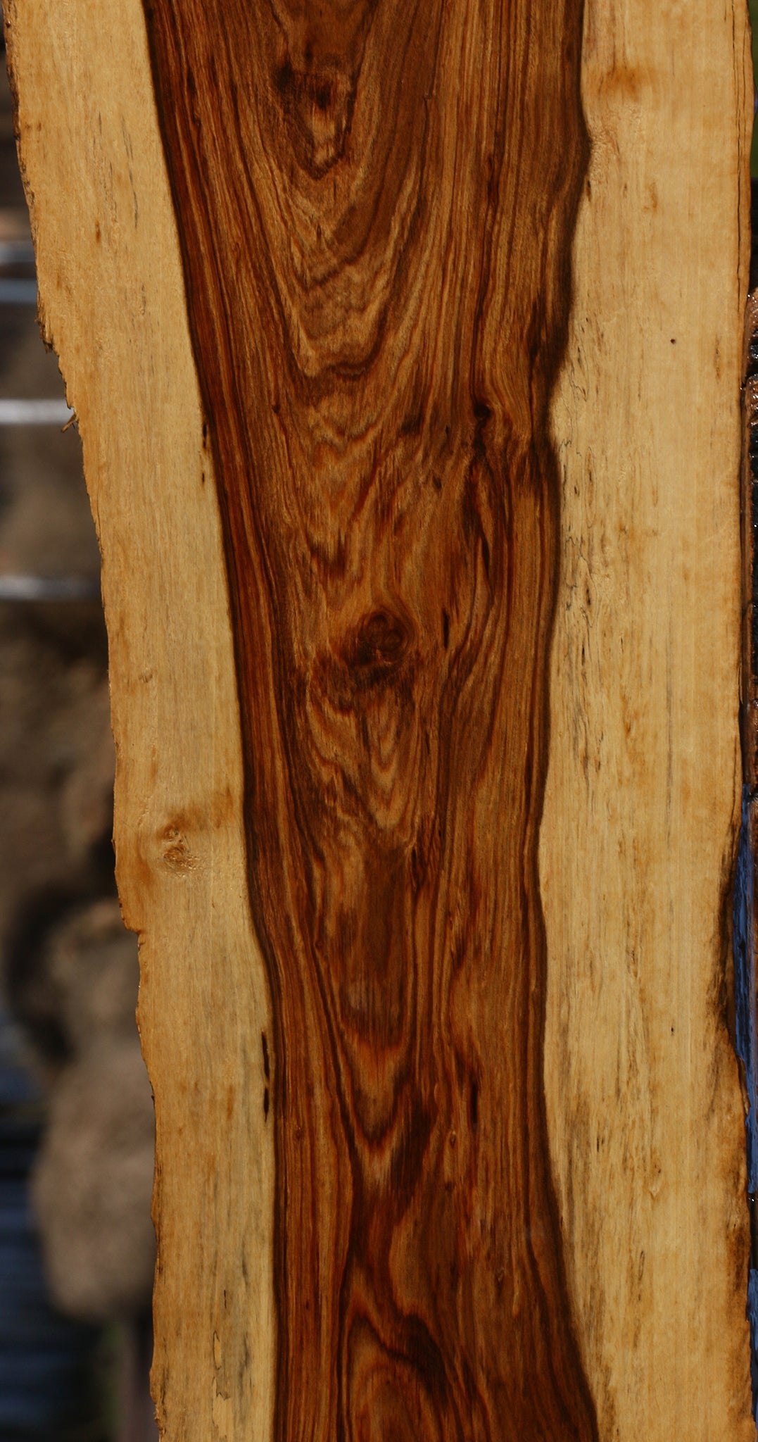 Figured Tamboti Live Edge Lumber