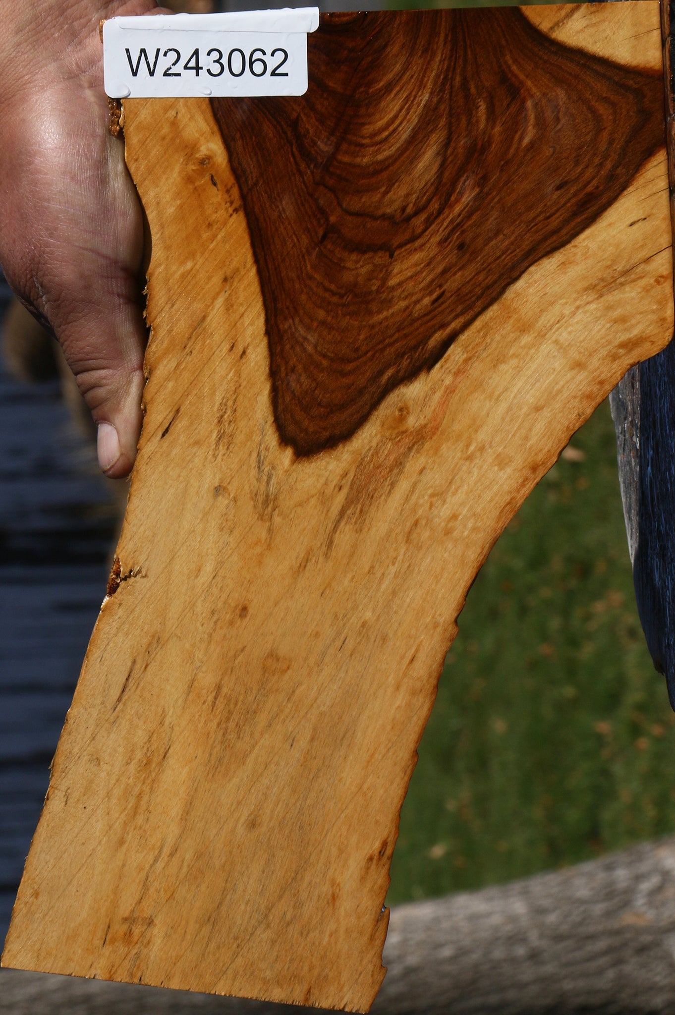 Tamboti Live Edge Lumber