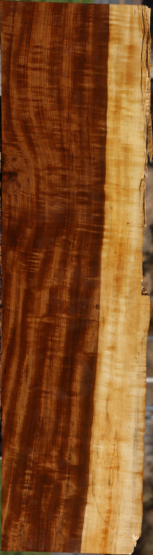 Extra Fancy Tamboti Live Edge Lumber