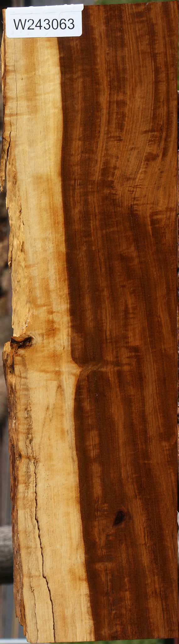 Extra Fancy Tamboti Live Edge Lumber