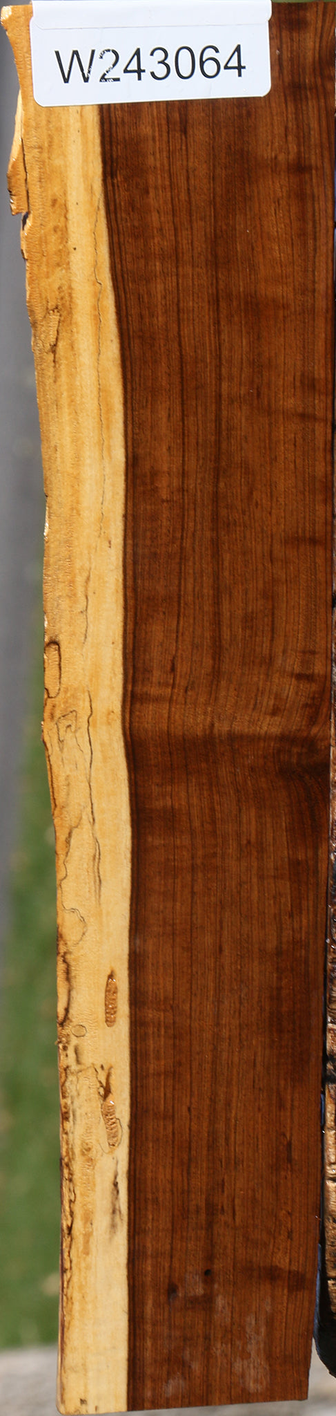 Figured Tamboti Live Edge Lumber