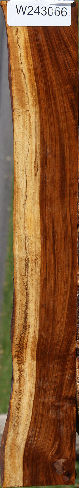 Figured Tamboti Live Edge Lumber