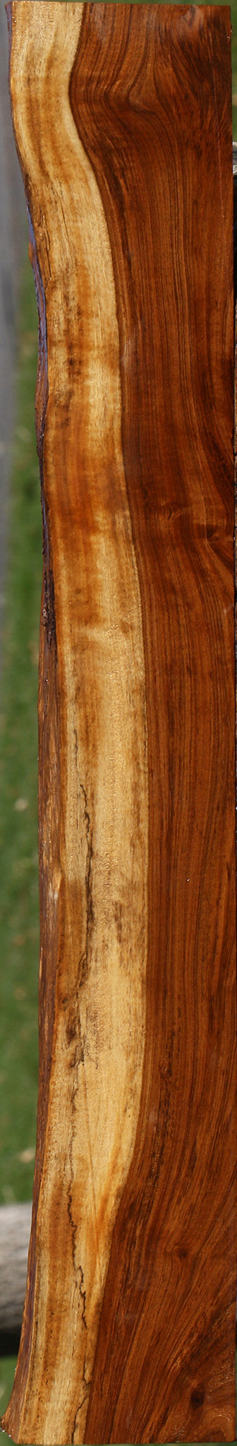 Figured Tamboti Live Edge Lumber