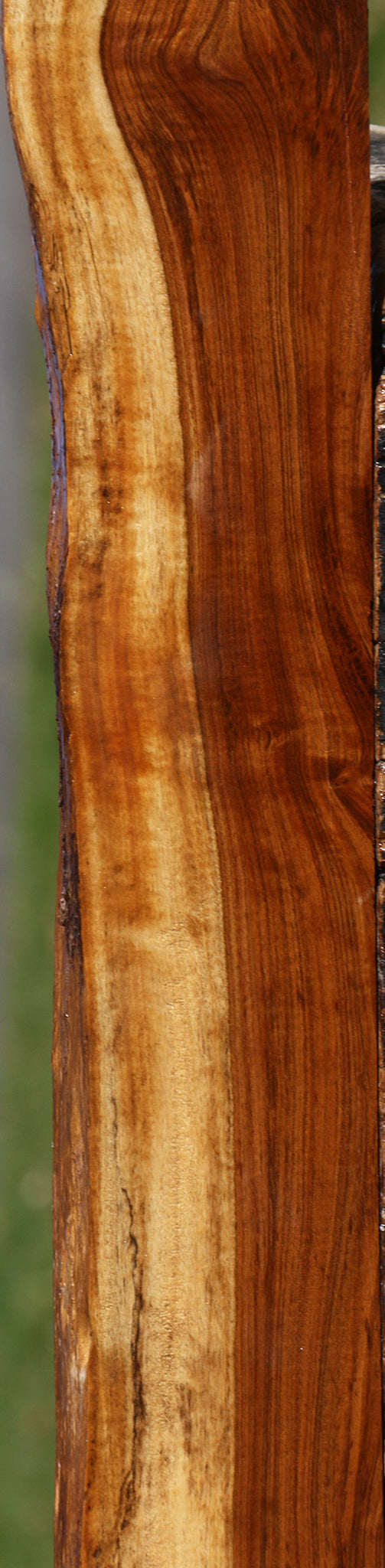 Figured Tamboti Live Edge Lumber