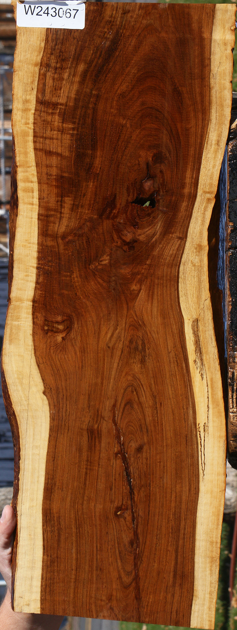 Figured Rustic Tamboti Live Edge Micro Lumber