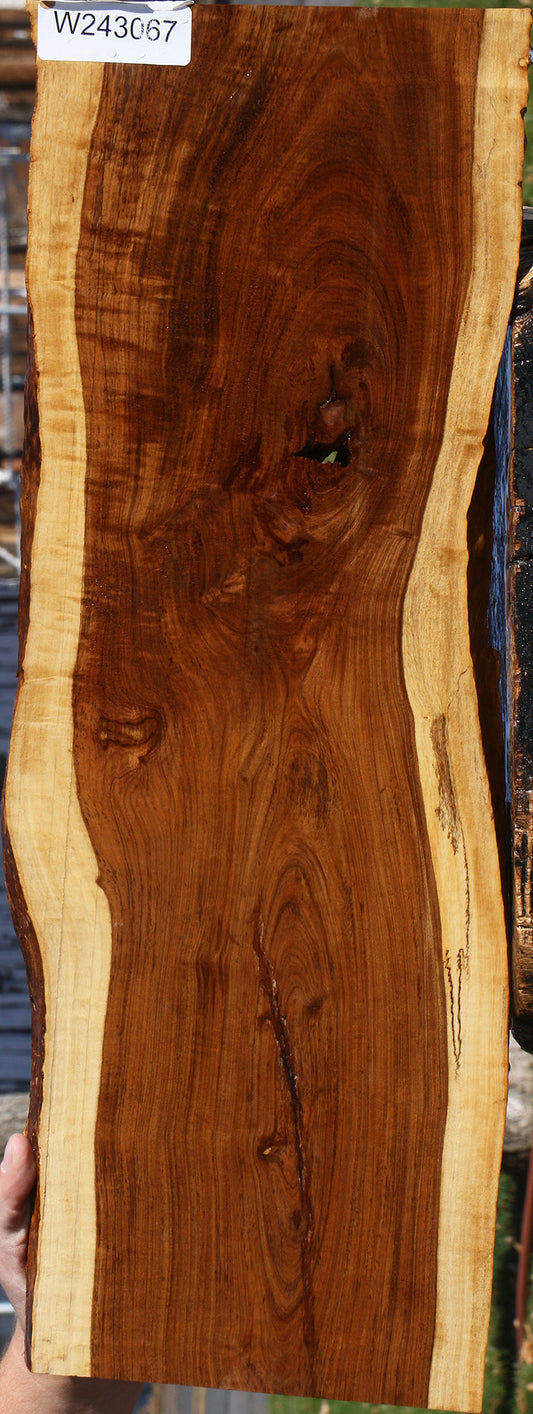 Figured Rustic Tamboti Live Edge Micro Lumber