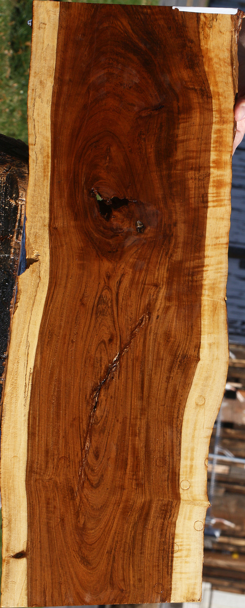 Figured Rustic Tamboti Live Edge Micro Lumber