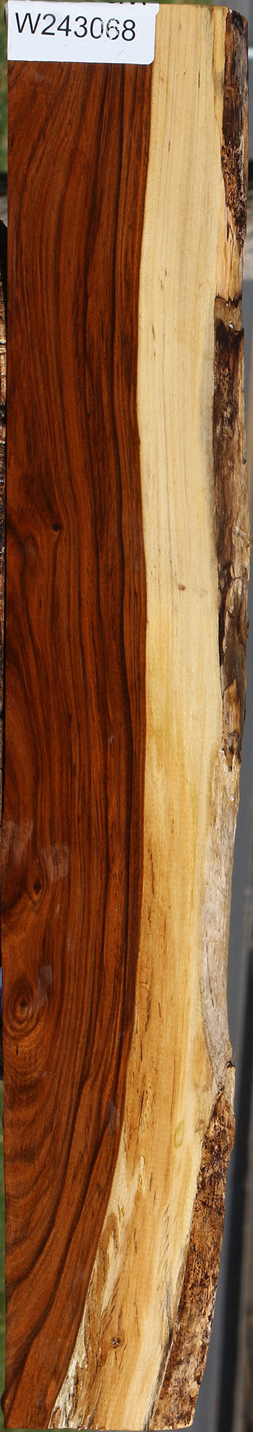 Tamboti Live Edge Lumber