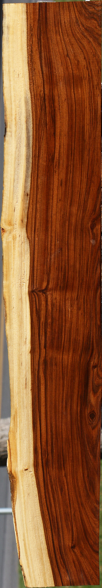 Tamboti Live Edge Lumber