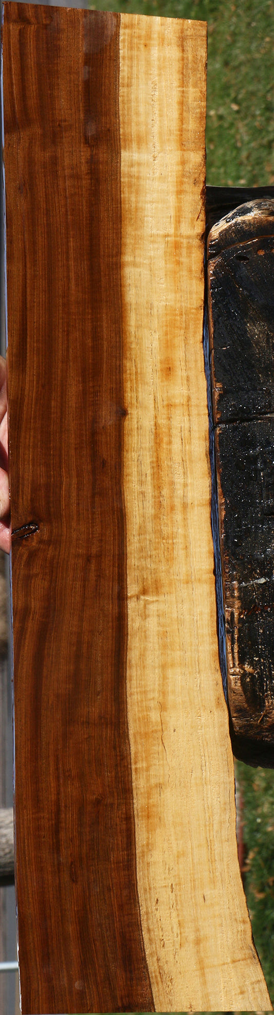 Extra Fancy Tamboti Live Edge Lumber