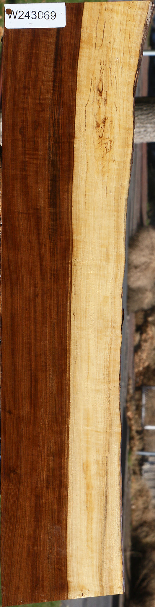 Extra Fancy Tamboti Live Edge Lumber