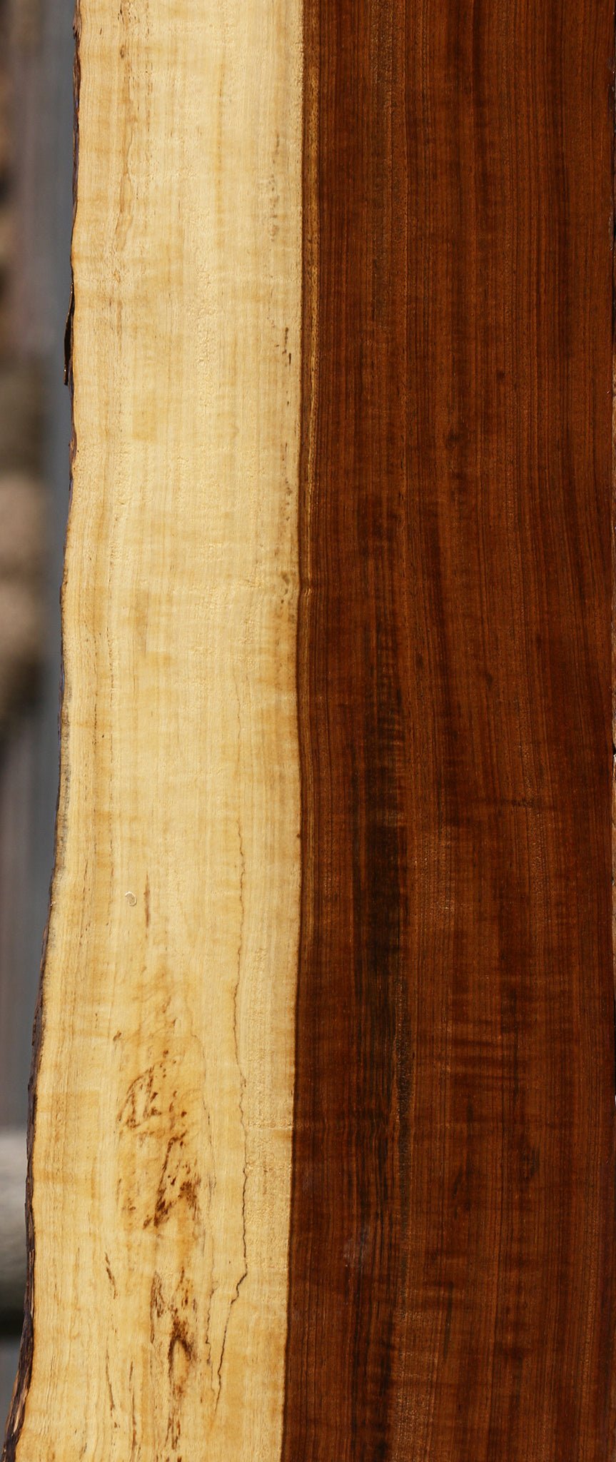 Extra Fancy Tamboti Live Edge Lumber